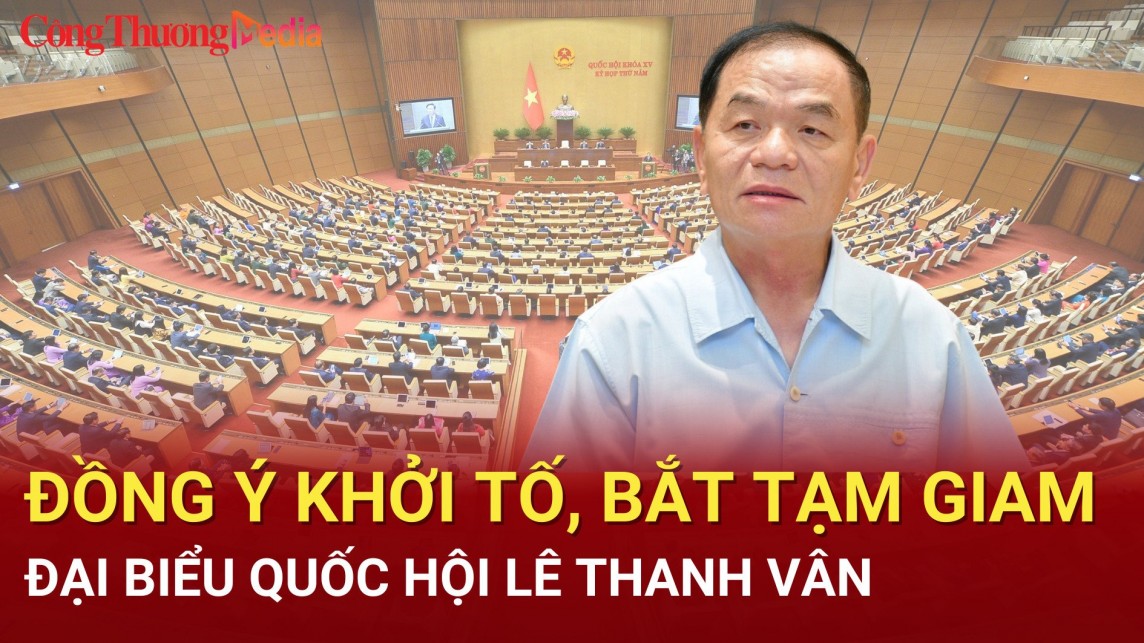 dong y khoi to bat tam giam dai bieu quoc hoi le thanh van