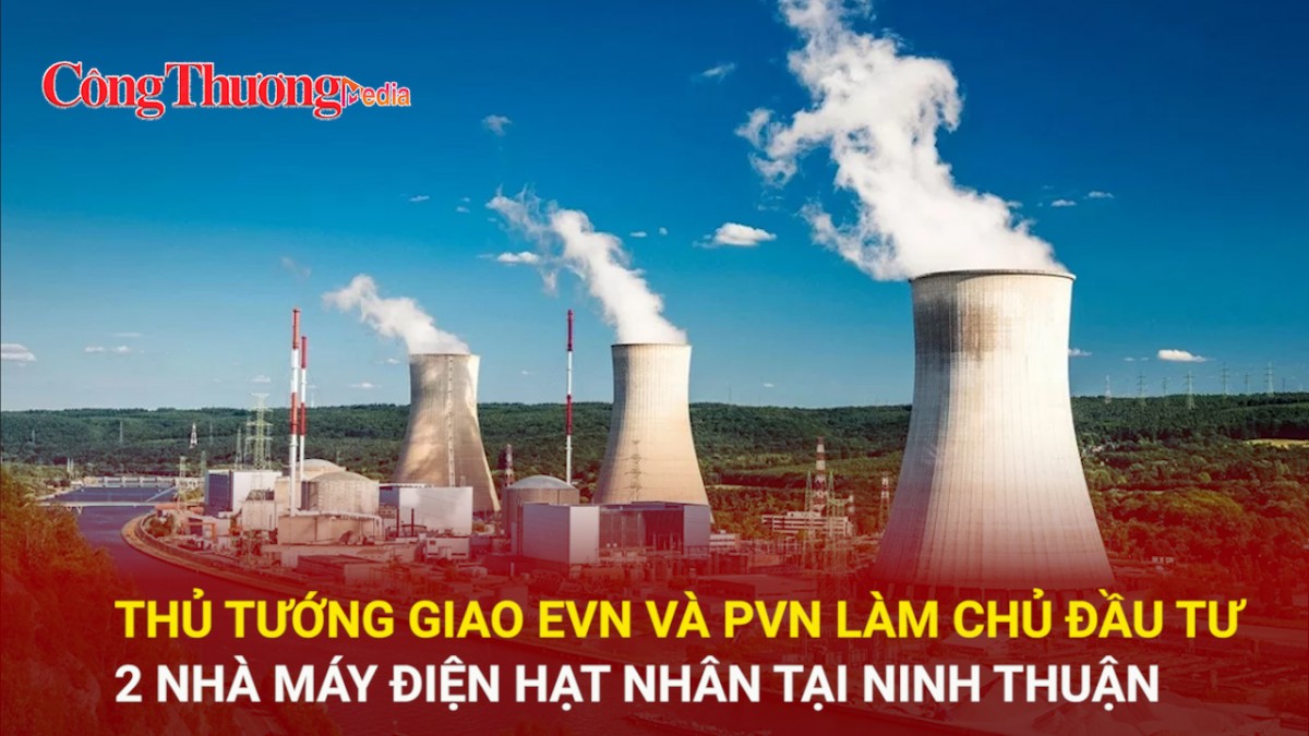 thu tuong giao evn va pvn lam chu dau tu 2 nha may dien hat nhan tai ninh thuan