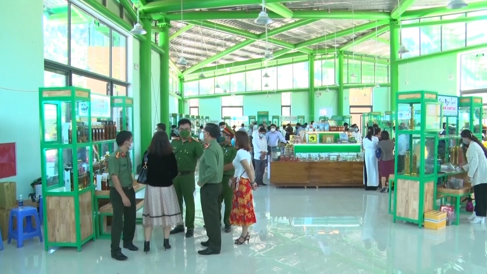 muc so thi phien cho sam dac biet tren dinh ngoc linh